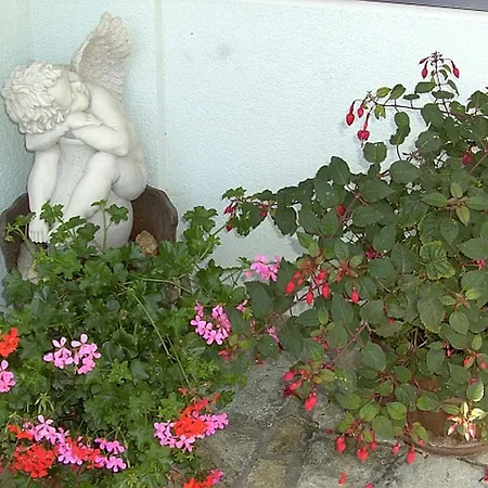 Gaestehaus Macheiner Appartement Mariapfarr